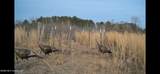 86 Cripple Creek Lane - Photo 30