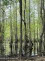  Chathaw Path - Photo 20