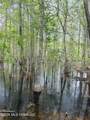  Chathaw Path - Photo 21