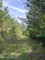  Chathaw Path - Photo 29