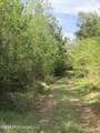  Chathaw Path - Photo 34