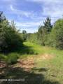  Chathaw Path - Photo 36