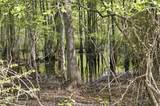  Chathaw Path - Photo 48
