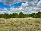 000001 Meadow Oak Lane - Photo 14