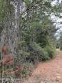  Hwy 49 - Photo 1