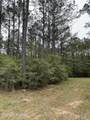 Hwy 49 - Photo 3