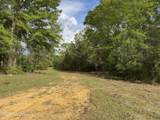 1311a Jackson Street - Photo 51