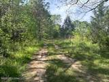  Mount Zion Lane - Photo 10