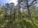  Mount Zion Lane - Photo 11
