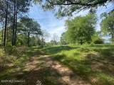  Mount Zion Lane - Photo 3