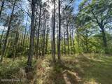  Mount Zion Lane - Photo 4