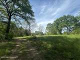  Mount Zion Lane - Photo 5