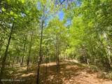  Smith Ferry Road - Photo 4