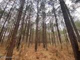 Smith Ferry Road - Photo 8