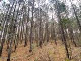  Smith Ferry Road - Photo 9