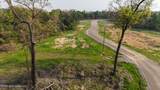 10 Tyro Branch Cove - Photo 3