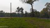 10 Tyro Branch Cove - Photo 7