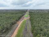 1177 County Road 194 - Photo 1