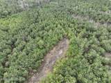 1177 County Road 194 - Photo 4