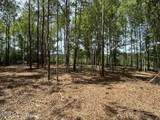 Parcel 4 Stovall Lane - Photo 3