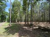 Parcel 4 Stovall Lane - Photo 5