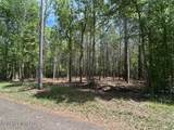 Parcel 4 Stovall Lane - Photo 6