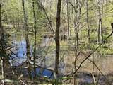 5582 White Apple Road - Photo 12