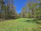 5582 White Apple Road - Photo 14