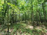 5582 White Apple Road - Photo 20