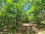 5582 White Apple Road - Photo 22