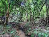 5582 White Apple Road - Photo 23