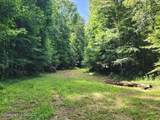 5582 White Apple Road - Photo 25
