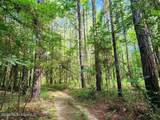 5582 White Apple Road - Photo 29