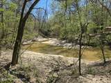 5582 White Apple Road - Photo 3