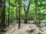 5582 White Apple Road - Photo 30