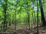 5582 White Apple Road - Photo 37