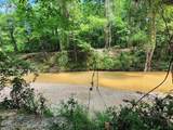 5582 White Apple Road - Photo 4