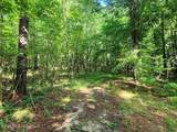 5582 White Apple Road - Photo 40