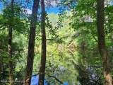 5582 White Apple Road - Photo 41