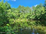 5582 White Apple Road - Photo 43