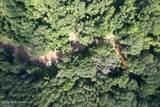 5582 White Apple Road - Photo 45