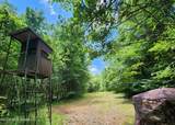 5582 White Apple Road - Photo 5