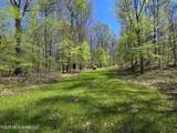 5582 White Apple Road - Photo 6