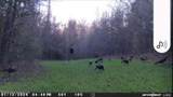 5582 White Apple Road - Photo 68