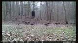 5582 White Apple Road - Photo 69
