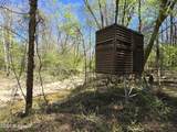 5582 White Apple Road - Photo 7