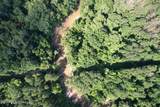 5582 White Apple Road - Photo 8