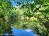 5582 White Apple Road - Photo 9