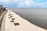2252 Beach Drive - Photo 35