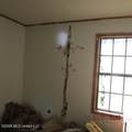 5737 Old Highway 7 - Photo 8